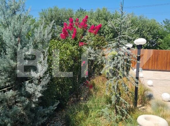 Casa de vânzare 5 camere Sud-Vest - 185353CV | BLITZ Craiova | Poza18