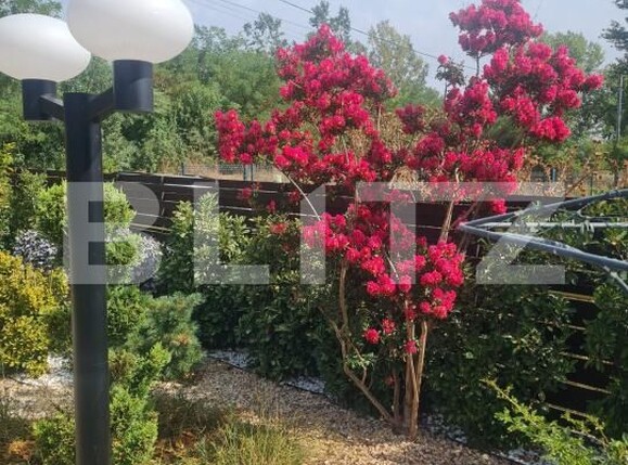 Casa de vânzare 5 camere Sud-Vest - 185353CV | BLITZ Craiova | Poza3