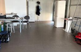 Spatiu comercial de inchiriat in spate la piata, 40 mp,  Filiasi, Dolj