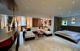 Garsoniera de inchiriat, 55 mp, zona Centrala