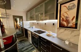 Garsoniera de inchiriat, 55 mp, zona Centrala