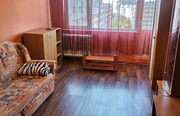 Garsoniera de vanzare, 26 mp, zona Centrala - Calea Bucuresti  