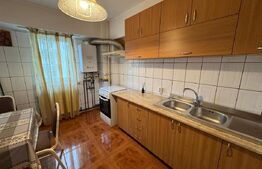 Apartament de inchiriat, 54 mp, Calea Severinului