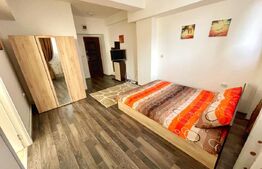 Garsoniera moderna, 33 mp, Petfrendly, zona Brazda lui Novac