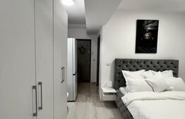 Garsoniera de inchiriat, 33 mp, zona Cornitoiu, disponibila din 15 Aprilie