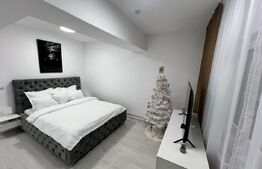 Garsoniera de inchiriat, 33 mp, zona Cornitoiu