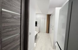 Garsoniera de inchiriat, 33 mp, zona Cornitoiu, disponibila din 15 Aprilie