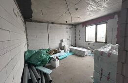 Casa P+M, 232 mp, 732 mp teren, zona Ionumi