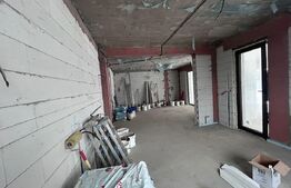 Casa P+M, 232 mp, 700 mp teren, zona Ionumi