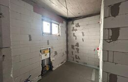 Casa P+M, 232 mp, 700 mp teren, zona Ionumi