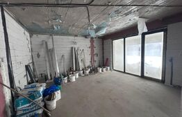 Casa P+M, 232 mp, 732 mp teren, zona Ionumi