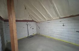 Casa P+M, 232 mp, 732 mp teren, zona Ionumi