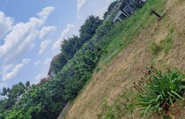 Casa parter , Bariera Valcii , 816 mp teren 