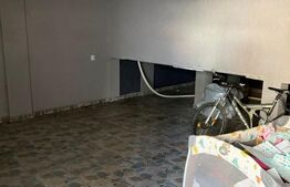 Casa P+1, 350 mp utili, teren 500 mp, zona Craiovita Noua