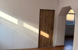 Casa P+1, 350 mp utili, teren 500 mp, zona Craiovita Noua