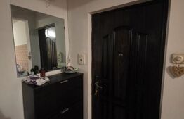 Apartament 2 camere, 47 mp, zona Brazda lui Novac