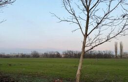 Teren, 594 mp, dubla deschidere, zona Braniste