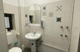 Spatiu cu vad pietonal si auto, 44 mp, zona Ultracentrala