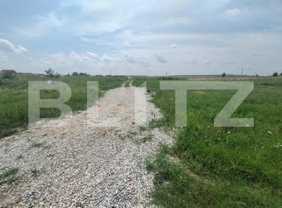 Teren de vânzare Brestei - 185847TV | BLITZ Craiova | Poza3