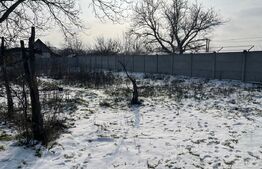 Casa batraneasca + teren 1426 mp, Malu Mare , zona Profi