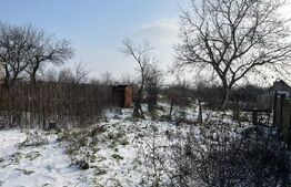 Casa batraneasca + teren 1426 mp, Malu Mare , zona Profi