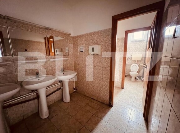 Spațiu comercial de închiriat Lapus - 185916SIC | BLITZ Craiova | Poza7