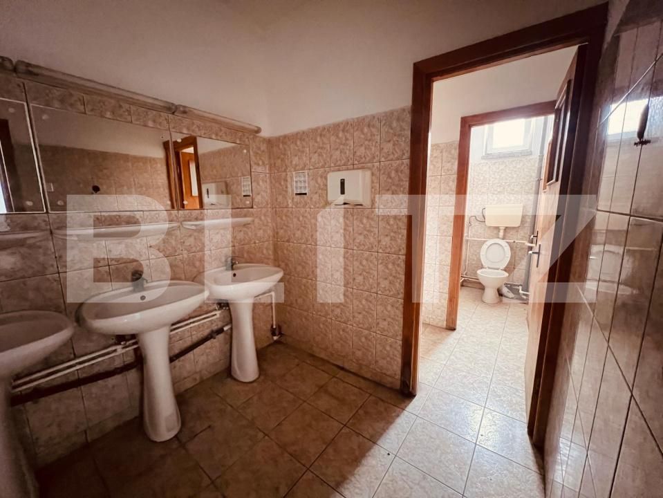 Spațiu comercial de închiriat Lapus - 185916SIC | BLITZ Craiova | Poza7