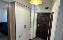 Apartament 2 camere, 43 mp, zona Calea Severinului