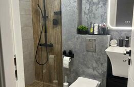 Apartament 2 camere, 46.40 mp, zonă Cornitoiu