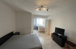 Garsonieră de vânzare, 28 mp, zona Brazda lui Novac