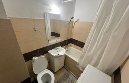 Garsoniera Brazda lui Novac