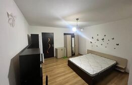 Garsoniera Brazda lui Novac