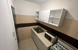 Garsoniera Brazda lui Novac