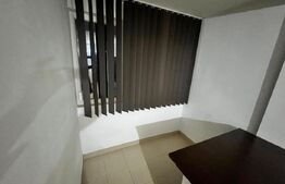 Garsoniera Brazda lui Novac