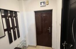 Garsoniera Brazda lui Novac