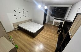 Garsoniera Brazda lui Novac