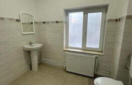 Spatiu birouri, 120 mp, vad auto si vitrina, zona Imparatul Traian