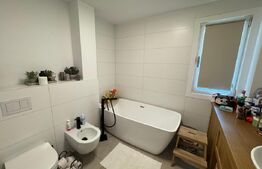 Apartament cu 3 camere, 104.6 mp, Lapus, zona Electroputere