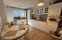 Apartament cu 3 camere, 104.6 mp, Lapus, zona Electroputere