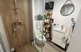 Apartament cu 3 camere, 104.6 mp, Lapus, zona Electroputere