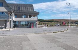 STATIE PECO BRADESTI 10600 MP,AFACERE LA CHEIE !