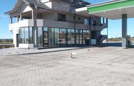 STATIE PECO BRADESTI 10600 MP,AFACERE LA CHEIE !