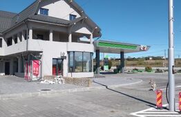 STATIE PECO BRADESTI 10600 MP,AFACERE LA CHEIE !