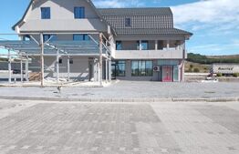 STATIE PECO BRADESTI 10600 MP,AFACERE LA CHEIE !