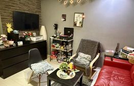 Apartament 2 camere decomandat , Brazda-Rocada