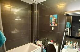 Apartament 2 camere decomandat , Brazda-Rocada