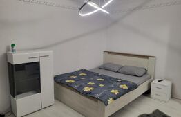 Garsoniera de vanzare, 24 mp, zona 1 Mai