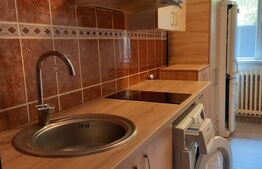 Camera de camin, 10.51 mp, zona Valea Rsoie