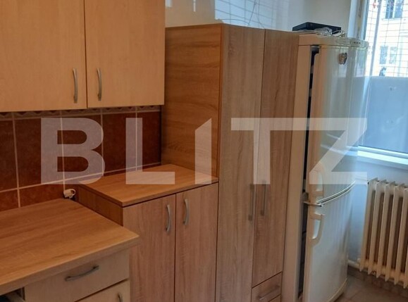 Garsonieră de vânzare Valea Rosie - 186360AV | BLITZ Craiova | Poza2