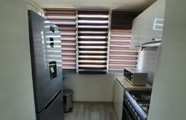 Apartament 2 camere, 49.76 mp, zona Lapus Arges